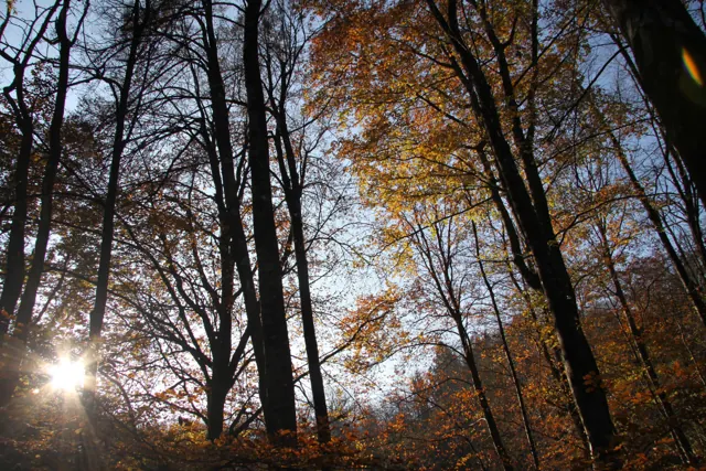 La luce attraversa il paesaggio