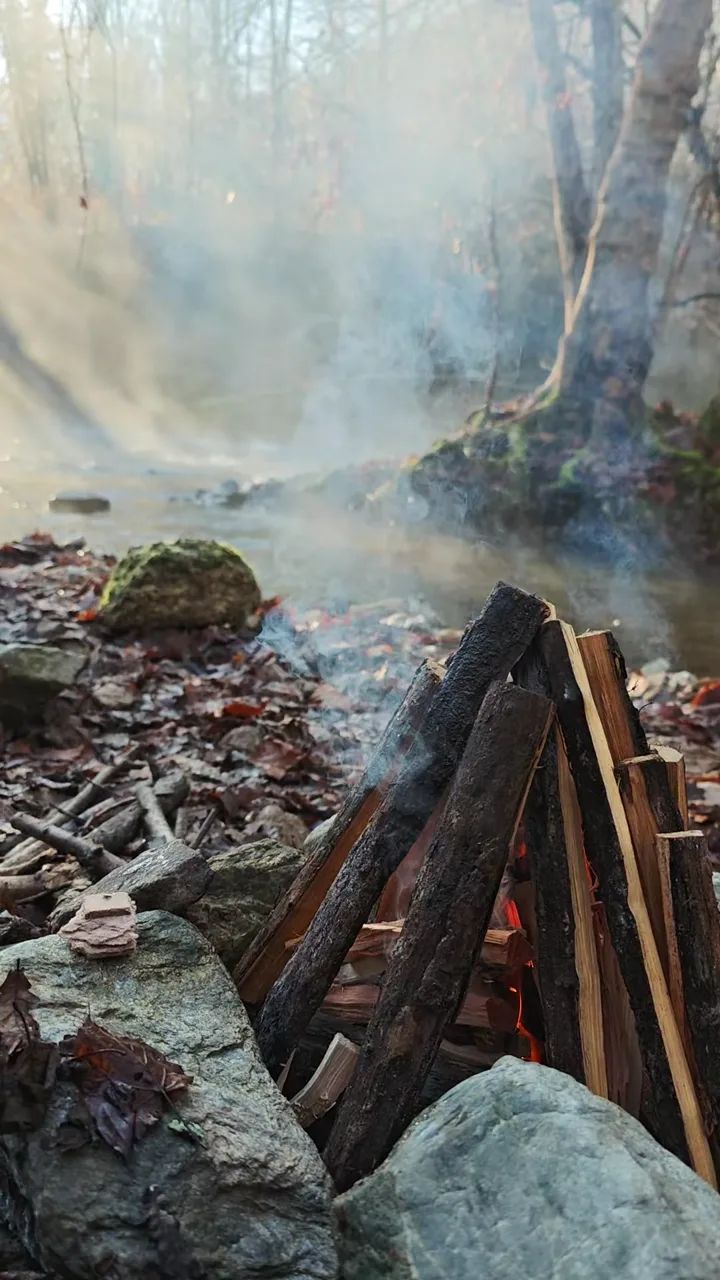 Un riparo nel bosco, luce e fuoco